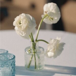 Meet your Posher, Tosh